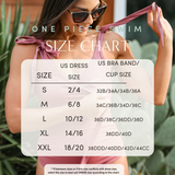 One Piece Zip Up Breastfeeding Swimsuit | Milk & Baby