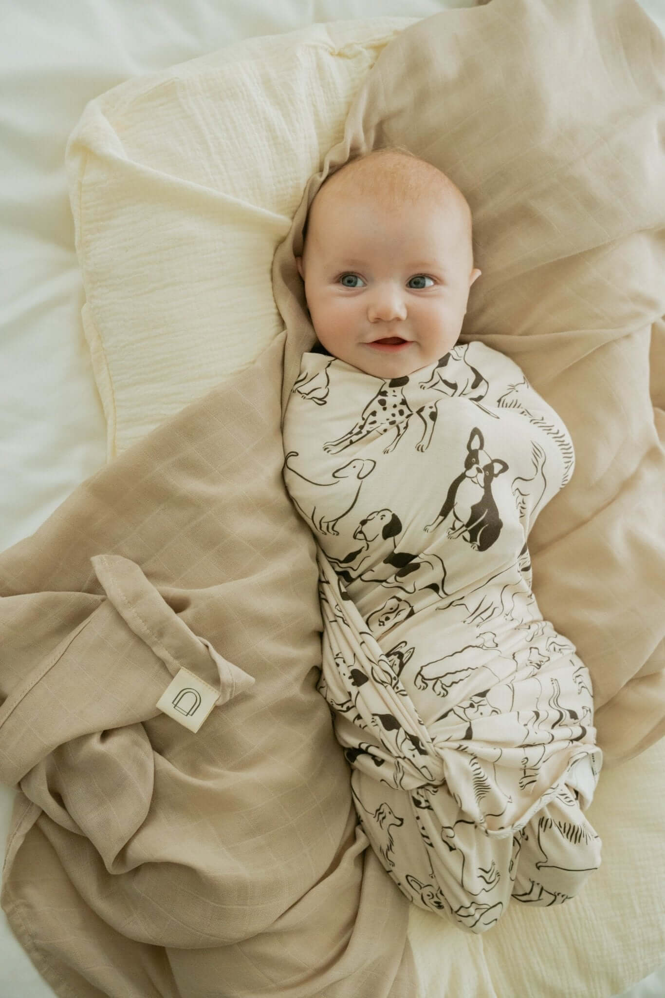 Good Dog Stretch Swaddle Blanket | Milk & Baby