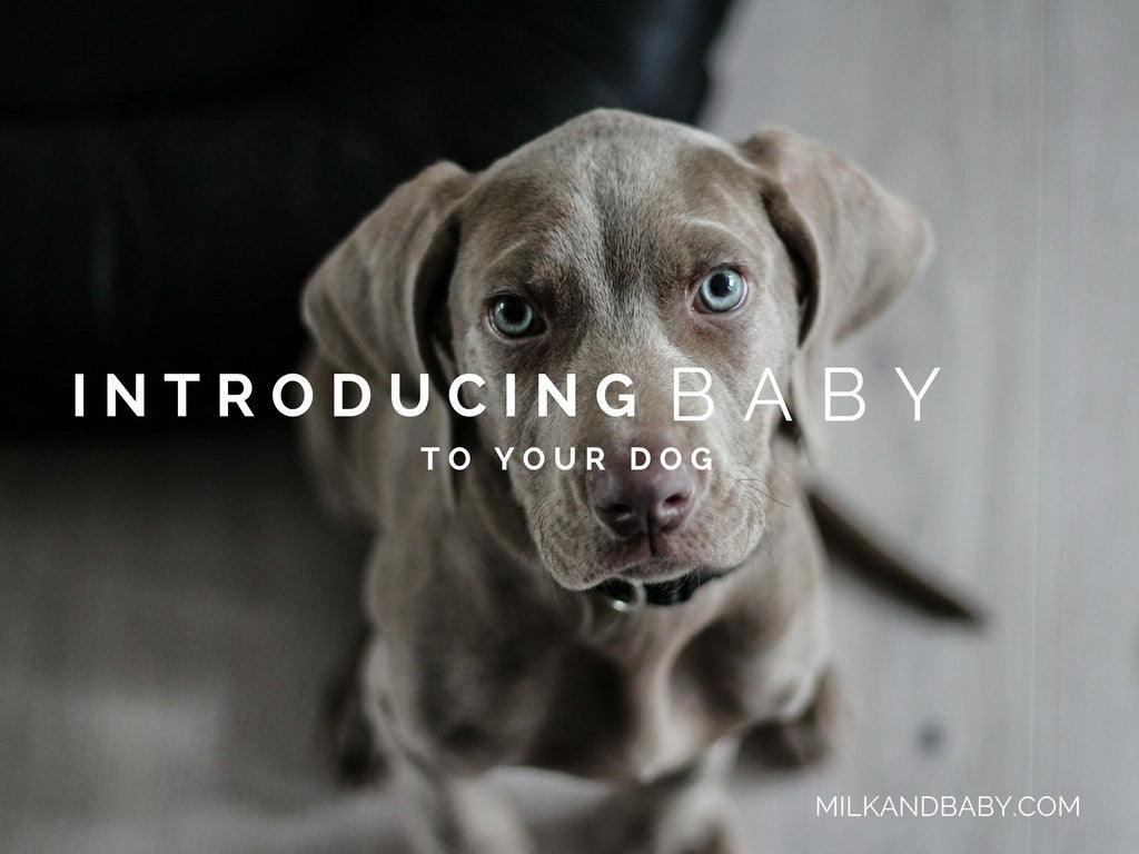 Introducing Your New Baby to Your Dogs - Milk & Baby 