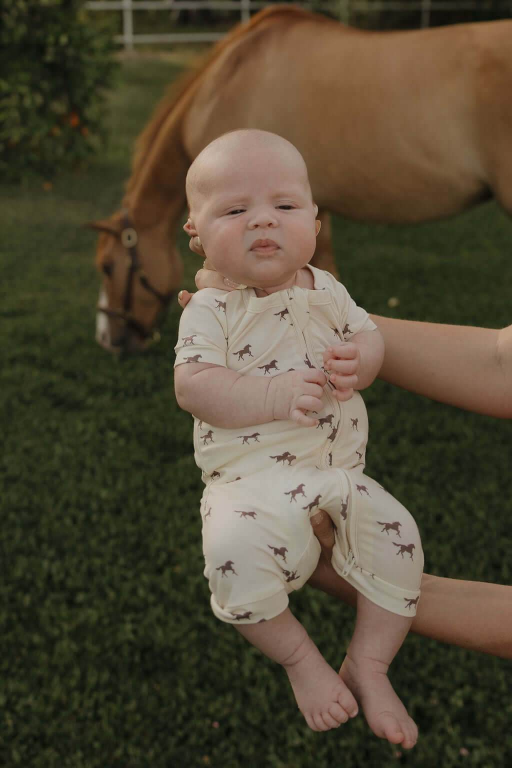 Wild Horses | Shortie Bamboo Zip | Milk & Baby
