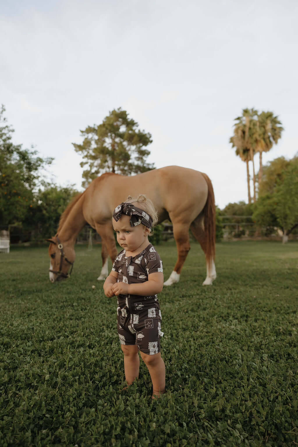 With Love from AZ | Shortie Bamboo Zip | Milk & Baby