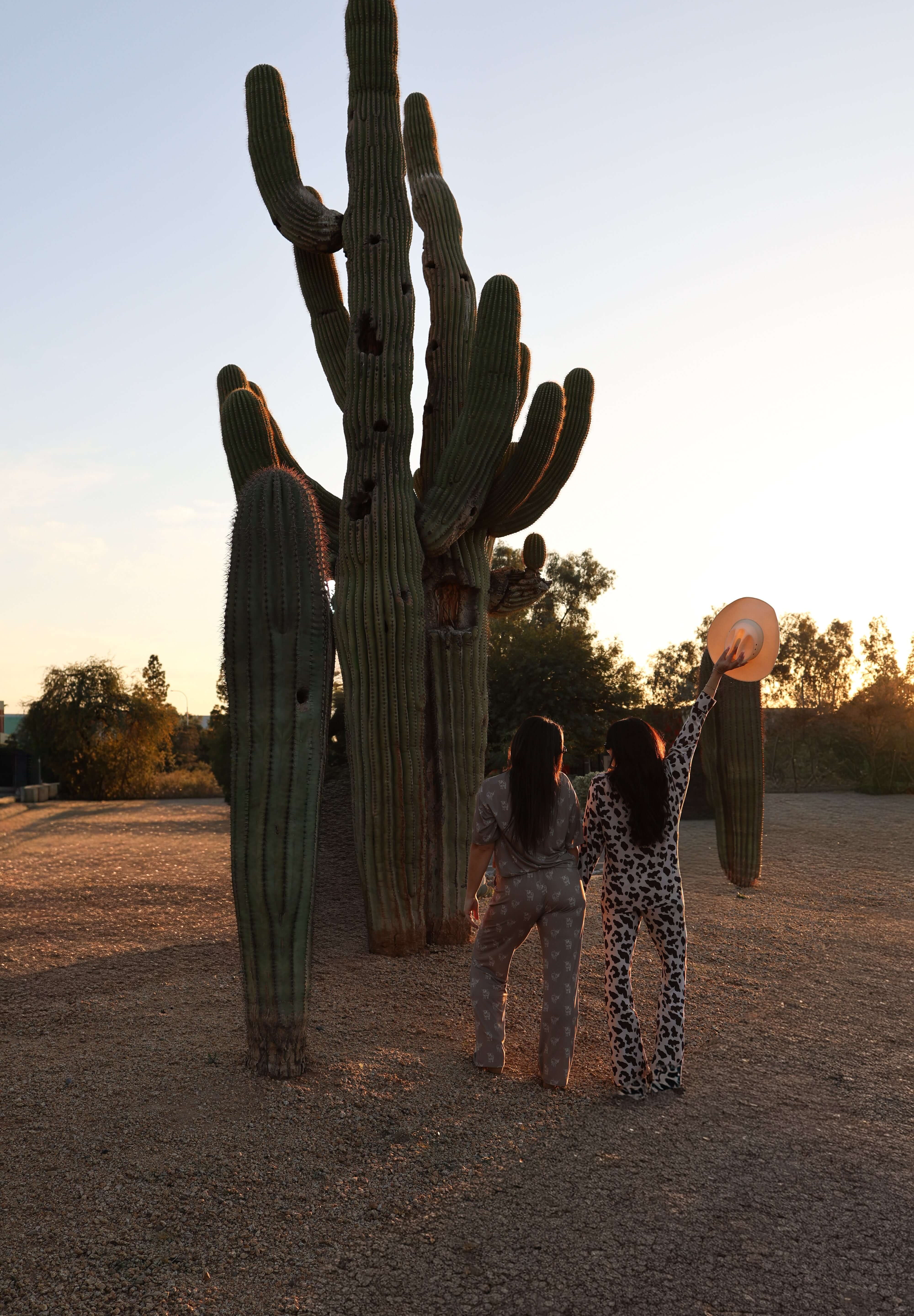 Highland | Women's Boxy Tee Lounge Set | A staff favorite! This ultra-comfy set is perfect for sleep or lounging around the house. It features a relaxed boxy tee and wide-leg pants for easy, breezy comfort. Be sure to match your mini in our baby and toddl
