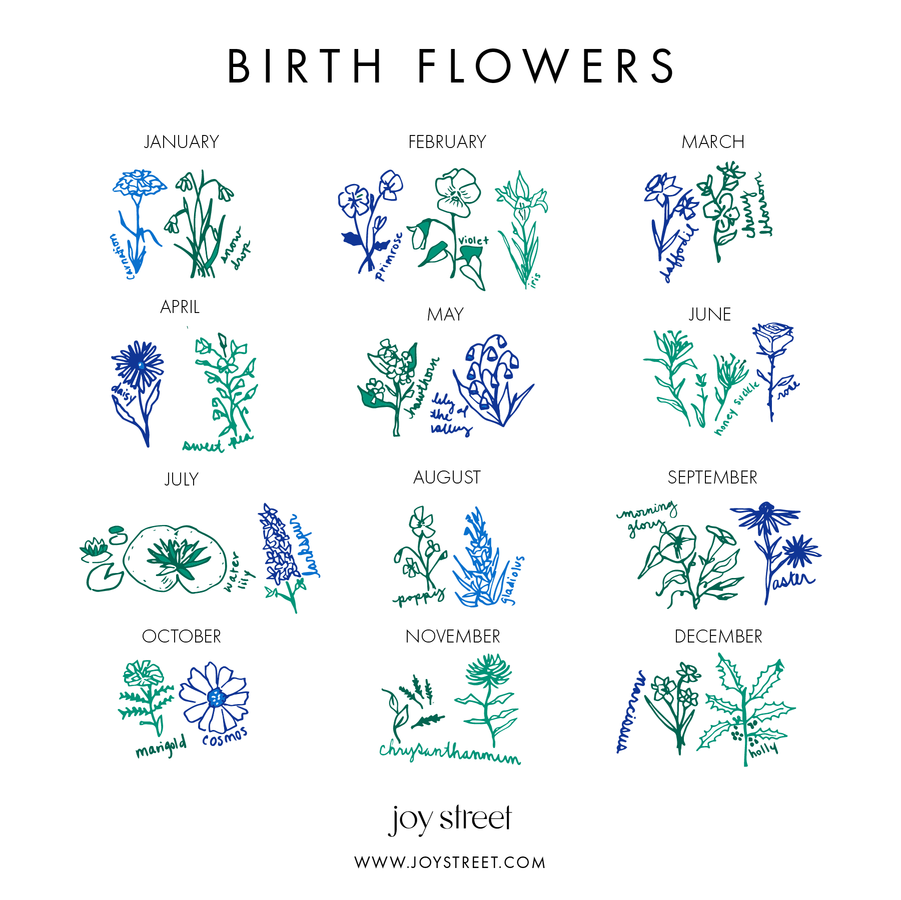 Birth Flowers Baby Hat | Milk & Baby