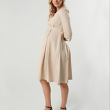 Sarah Empire Maternity & Nursing Dress