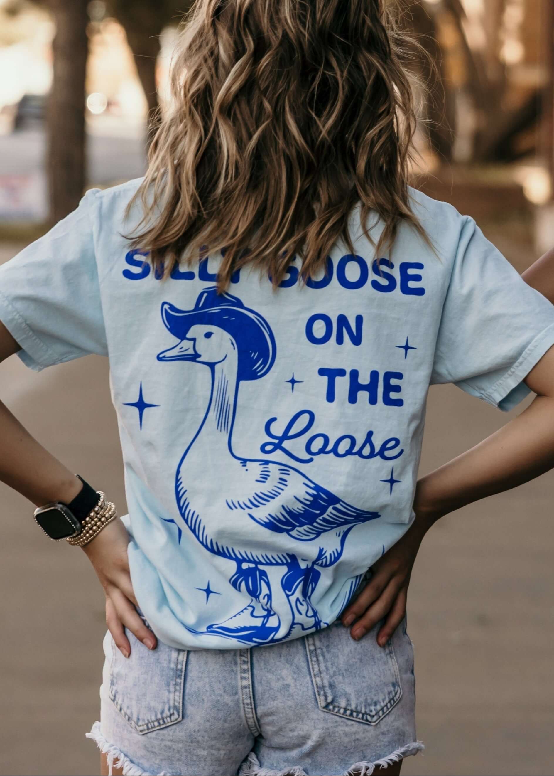 Silly Goose on the Loose Graphic Tee or Crewneck | Milk & Baby
