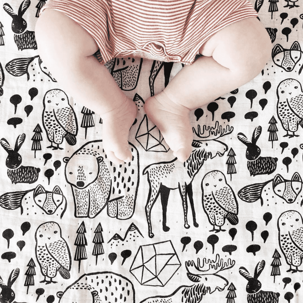 Nordic | Organic Muslin Swaddle | Milk & Baby