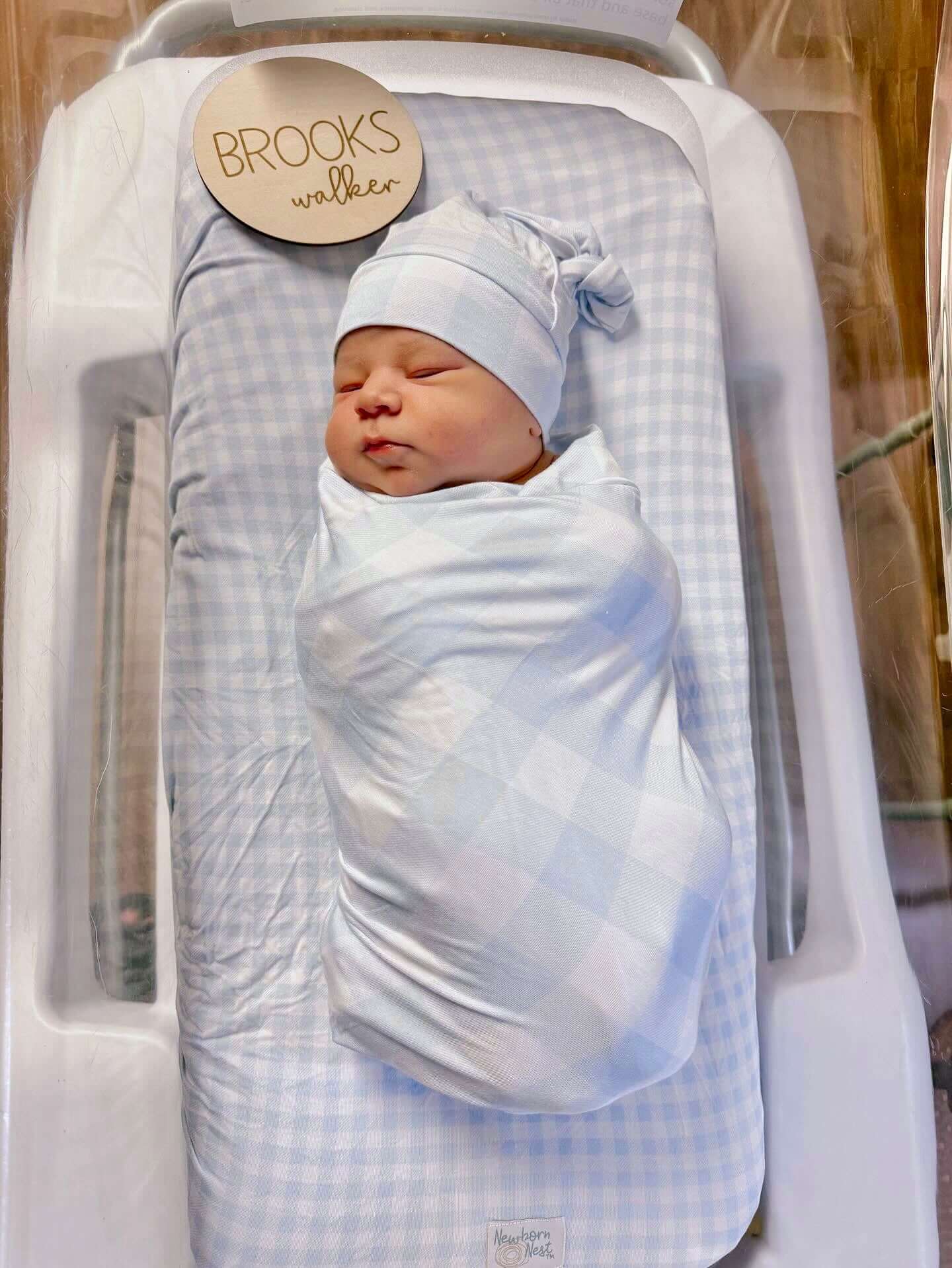 Sunday Picnic, Dusty Blue - Bamboo Newborn Nest | Milk & Baby