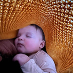 Honey Cocoon+ | Milk & Baby