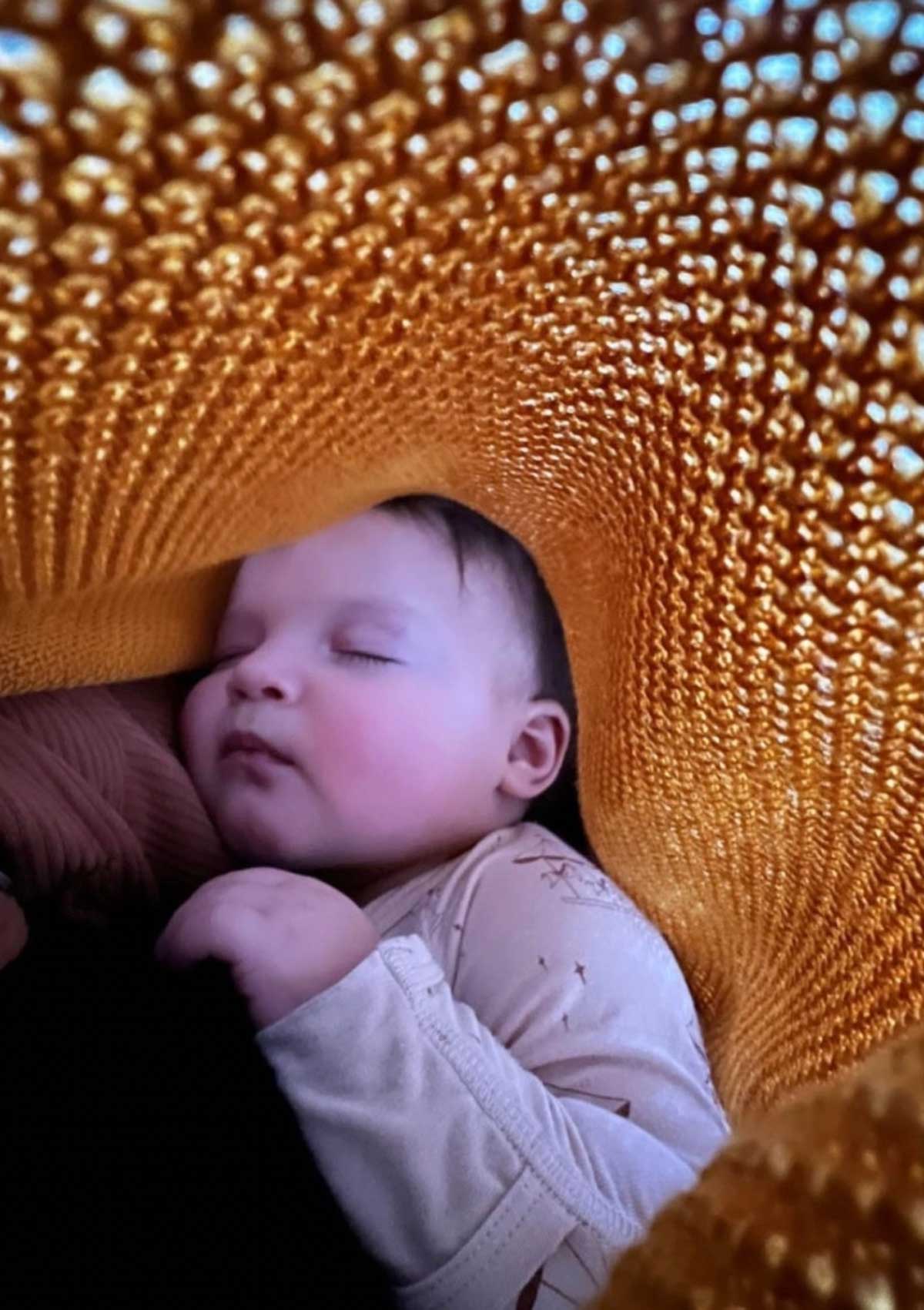 Honey Cocoon+ | Milk & Baby