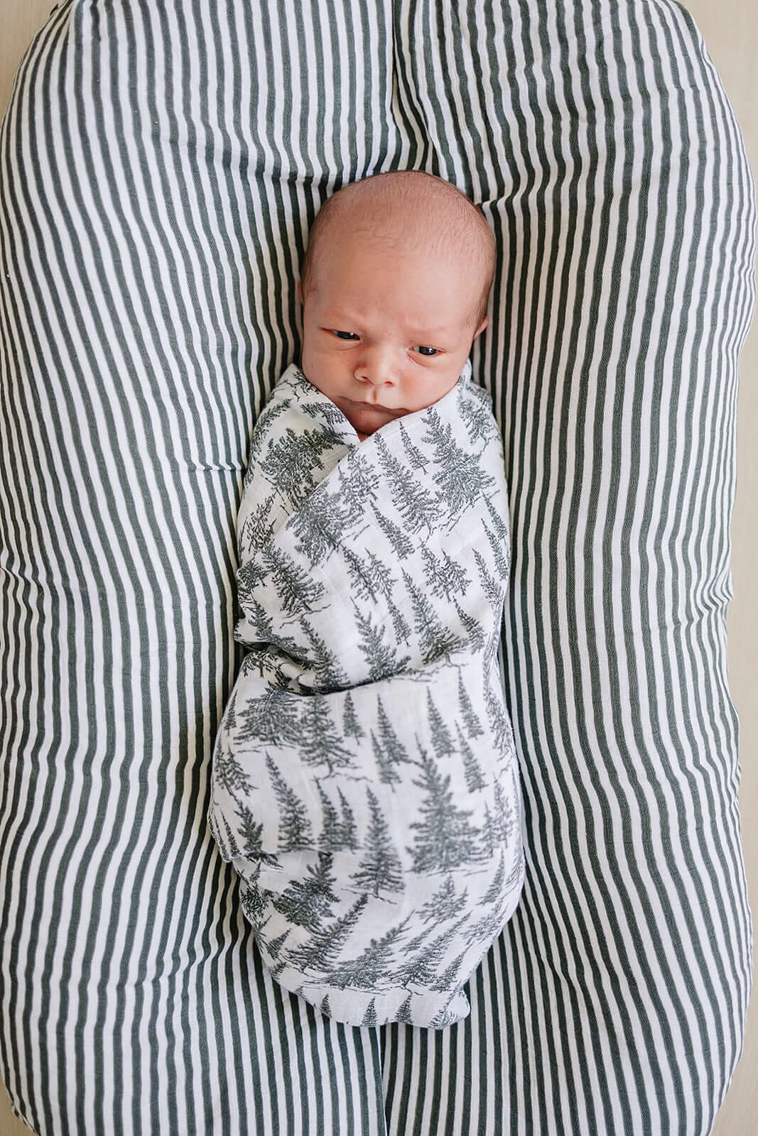 Forest Muslin Swaddle Blanket | Milk & Baby