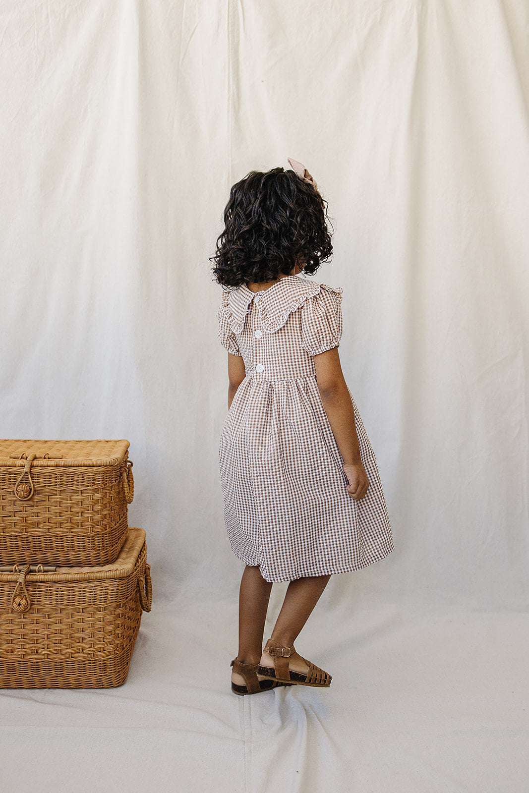 Gingham Peter Pan Collar Dress | Milk & Baby