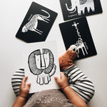 Newborn Baby Gift Set - Safari | Milk & Baby