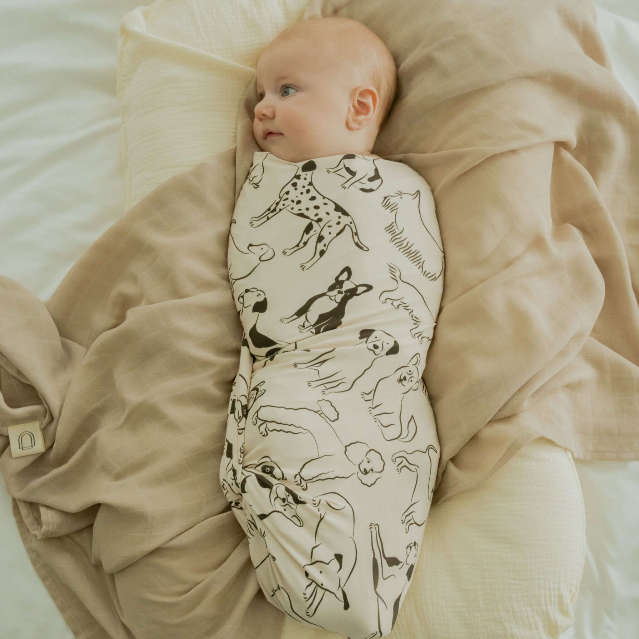 Good Dog Stretch Swaddle Blanket | Milk & Baby