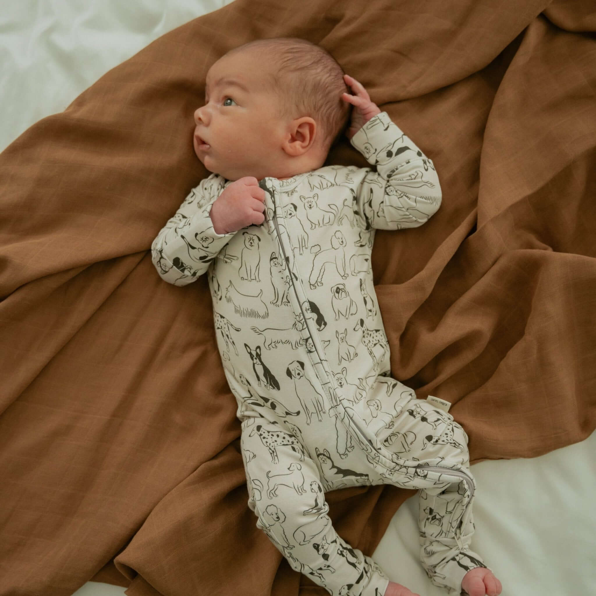 Good Dog Zipper Romper | Milk & Baby