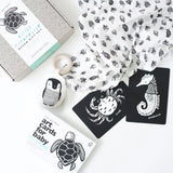 Newborn Baby Gift Set | Ocean