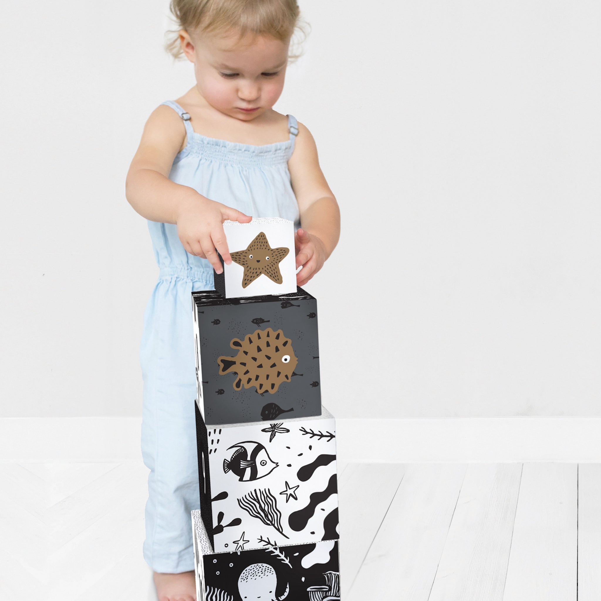 Ocean Explorer Bundle | Milk & Baby