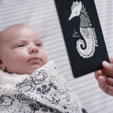 Newborn Baby Gift Set | Ocean