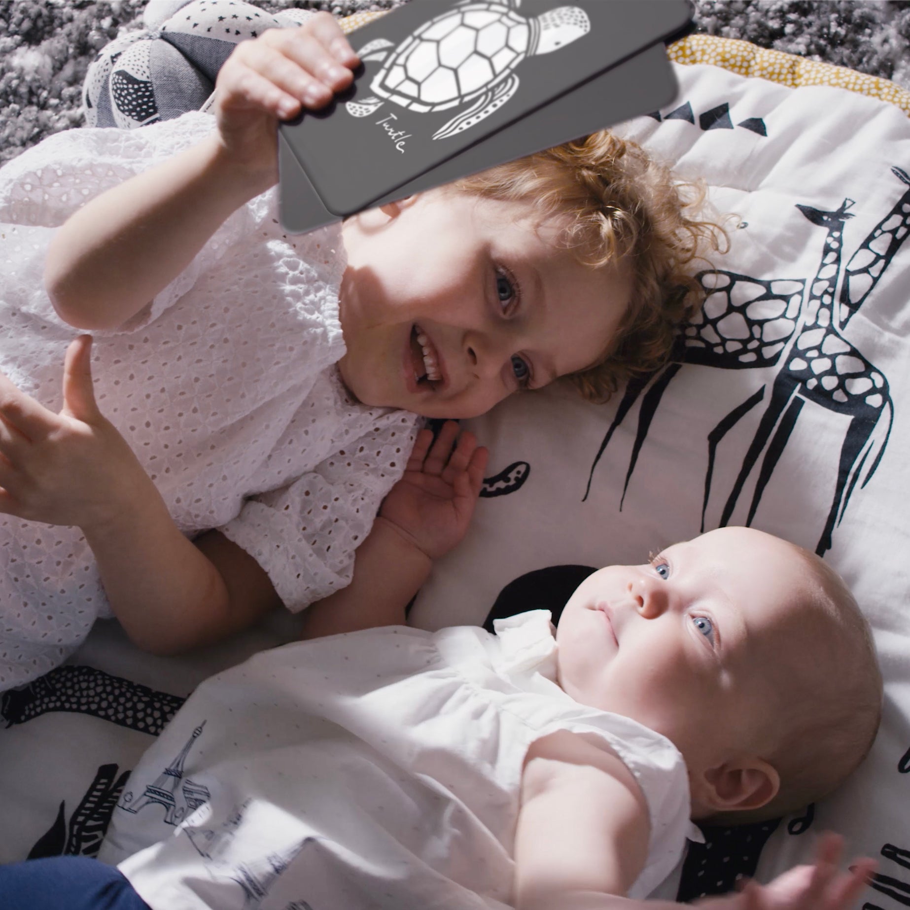 Slide image