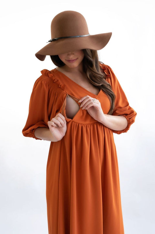 Burnt Orange Nursing Dress Milk & Baby