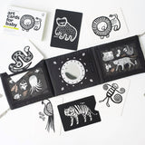 Baby Tummy Time Gallery with Mirror Gift Set