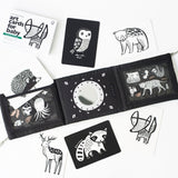 Baby Tummy Time Gallery with Mirror Gift Set